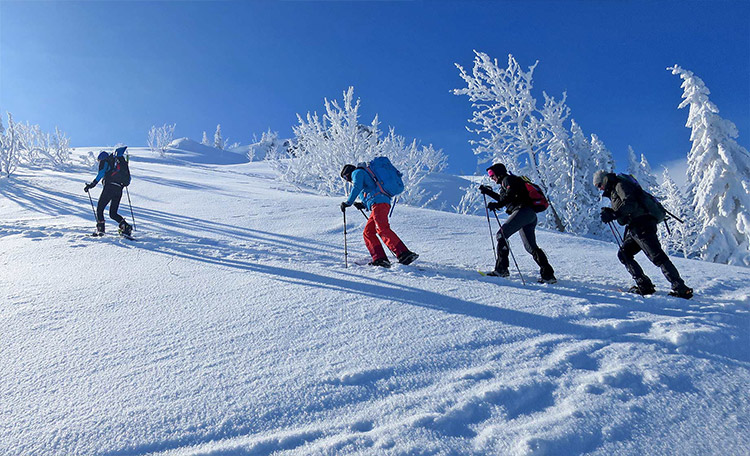 Vier sneeuwschoenwandelaars lopen in de zon een besneeuwde heuvel op.